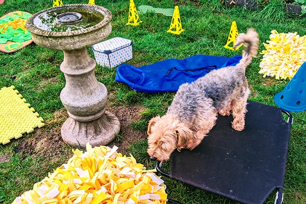 600_IMG_20191230_155926